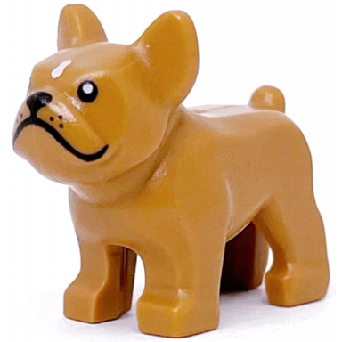 medium nougat dog french bulldog with black eyes nose mouth and whiskers white spot on forehead pattern