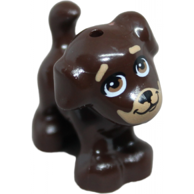 dog friends style puppy standing with medium nougat eyes black nose and mouth nougat muzzle and eyebrows pattern maple