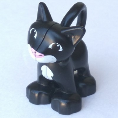 black duplo cat standing with white chest and mouth pattern