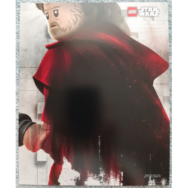 star wars exclusive print luke skywalker from star wars visual dictionary - anniversary edition