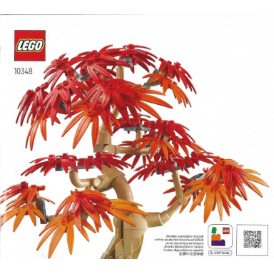 japanese maple tree