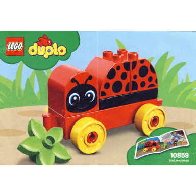 my first ladybug