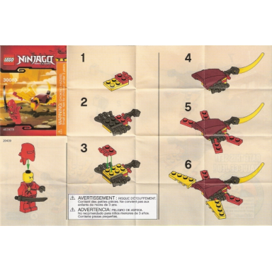 dragon fight polybag