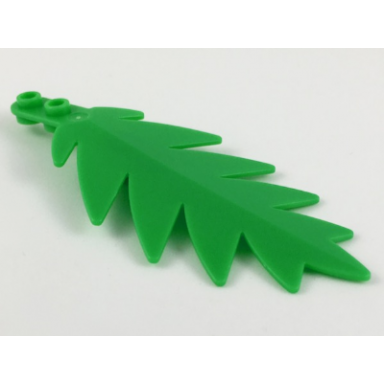 bright green plant tree palm leaf large 10 x 5