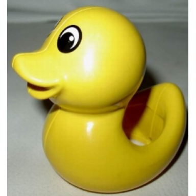 yellow primo animal duck with yellow beak