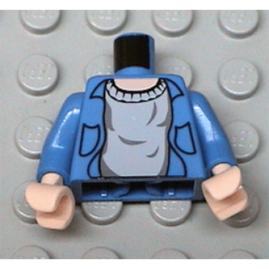 blue torso harry potter open shirt and sweater light nougat neck pattern blue arms light nougat hands