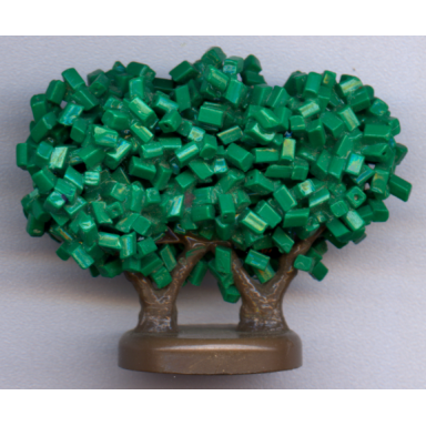 plant tree granulated bush with 2 trunks