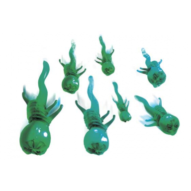 squid ammo
